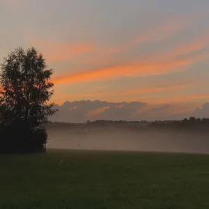 Für dich