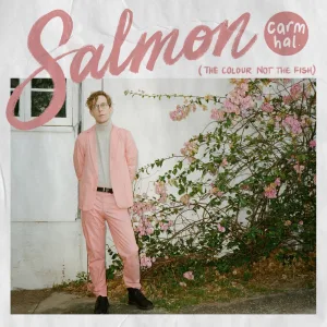 Salmon (The Colour Not the Fish)