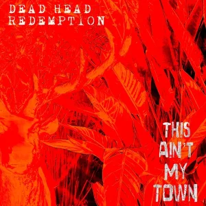 This Ain't My Town