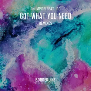 Got What You Need (DLE Remix)