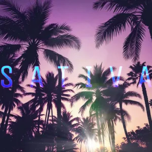 SATIVA