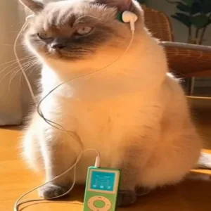 Close My Eyes
