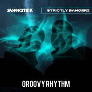 GROOVY RHYTHM (Radio Edit)