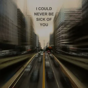 I Could Never Be Sick Of You (ft. Clay Collins)