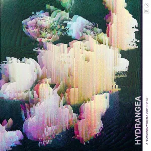 Deluge