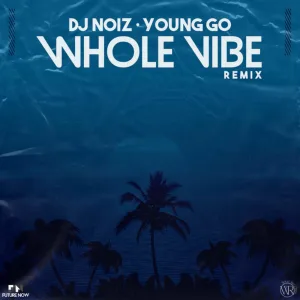 Whole Vibe (Remix)