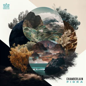Ambitious Antithesis (Chamberlain remix)