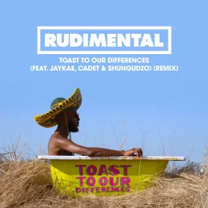 Toast to Our Differences (feat. Jaykae, Cadet & Shungudzo) (Remix)