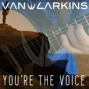 You're the Voice