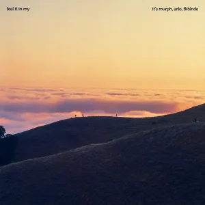 Feel it in My
