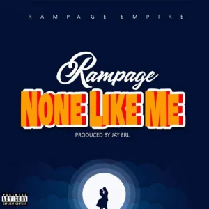 Non Like Me