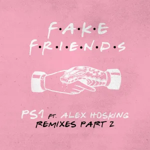 Fake Friends (Damon Hess remix)