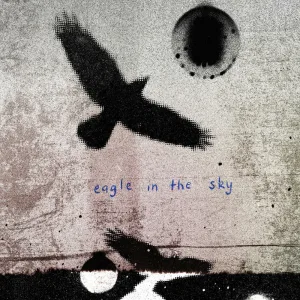 Eagle In The Sky