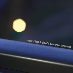 Now That I Don't See You Around (feat. Phoebe Lee)