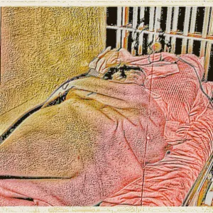 Van Gogh's Yard