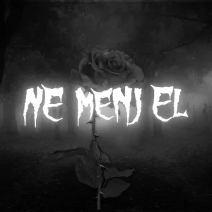 Ne menj el