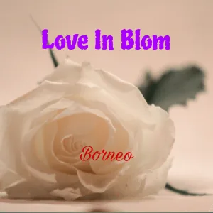 Love In Blom