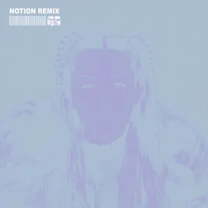 The Days (NOTION Remix)