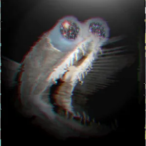 Frenzied Nights