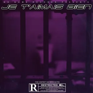 Je t'aimais bien