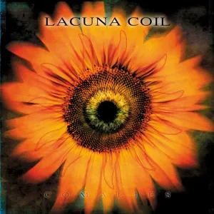 Daylight Dancer (Album Version)