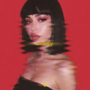 playboy (slowed)