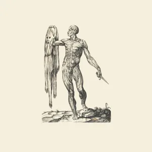 The Torso