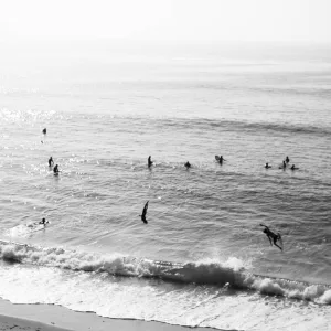 Creatures