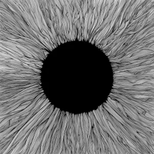 Straight Lines (Re-Witnessed)