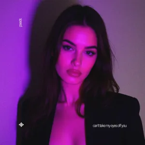 can't take my eyes off you (speed)