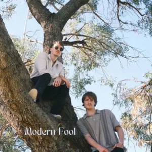 Modern Fool
