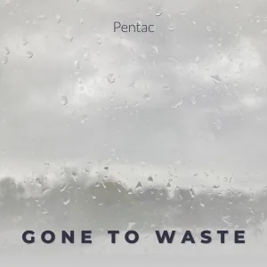 Gone to Waste by Pentac