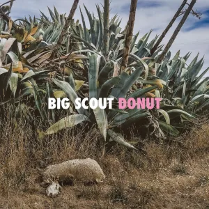 DONUT