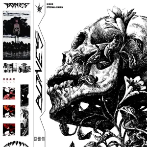 BONES