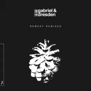 Remember (OCULA remix)