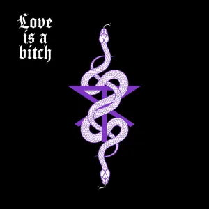 Love Is A Bitch