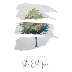 She Oak Tree