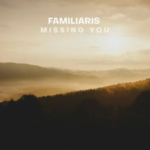 Missing You